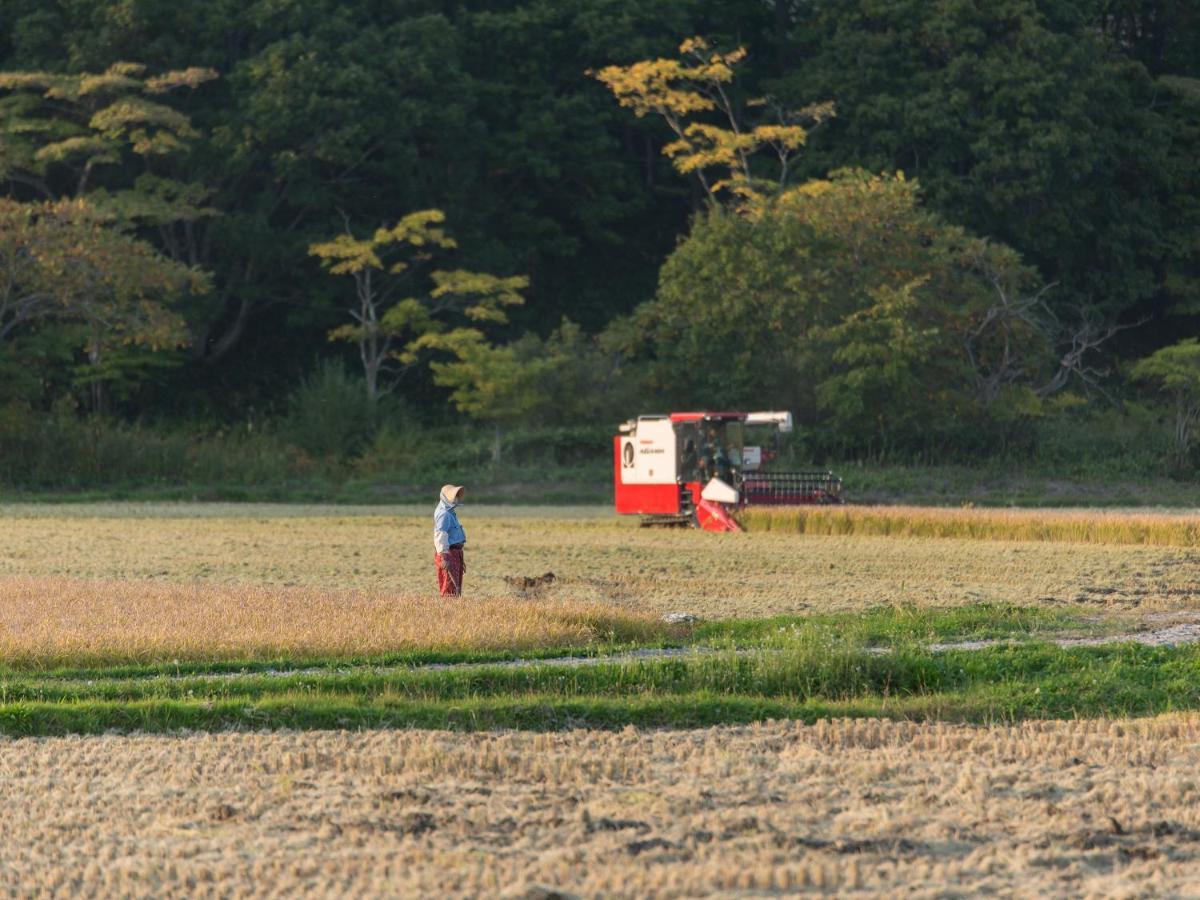 古民家一棟貸切宿 Solii Ishikari エクステリア 写真